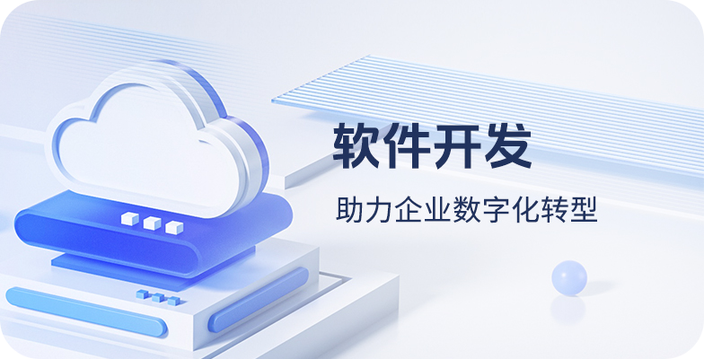 软件开发